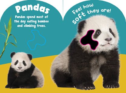 Baby Wild Animals Touch and Feel