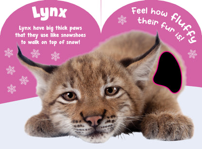 Baby Wild Animals Touch and Feel