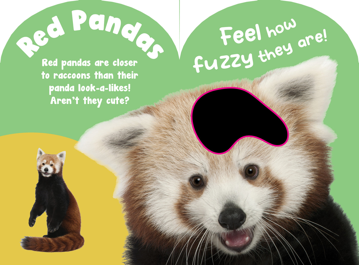 Baby Wild Animals Touch and Feel