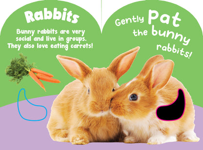 Petting Zoo Animals Touch and Feel