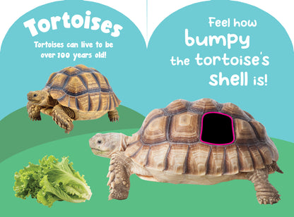 Petting Zoo Animals Touch and Feel