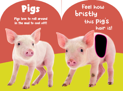 Petting Zoo Animals Touch and Feel