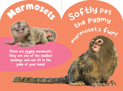 Monkeys and Apes Touch and Feel