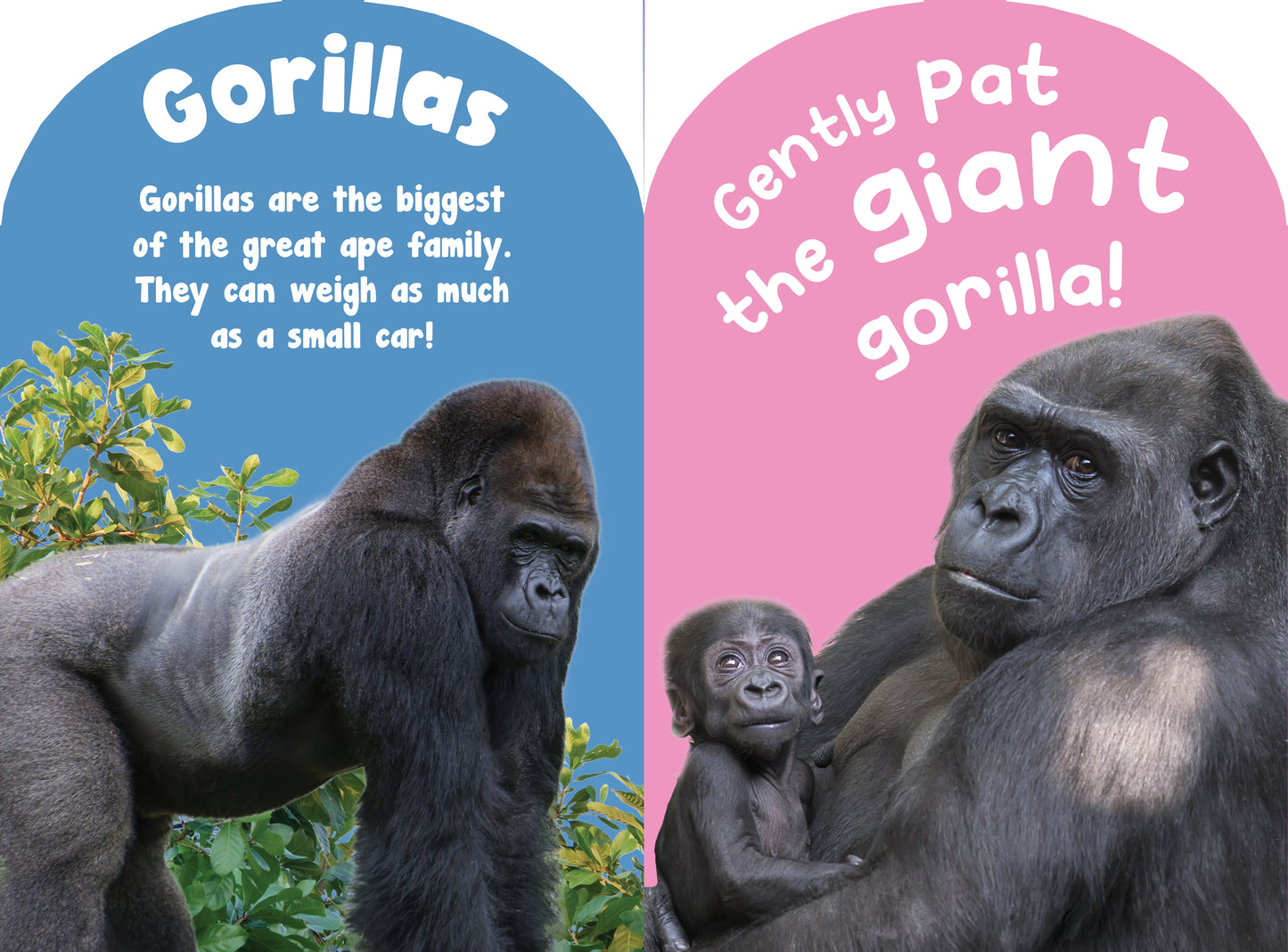 Monkeys and Apes Touch and Feel