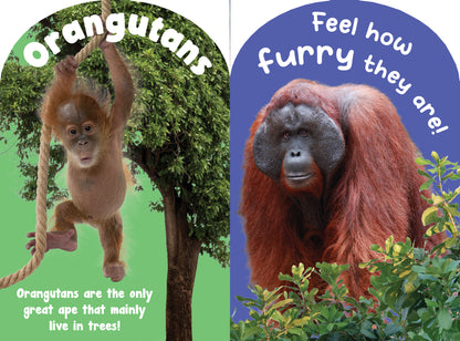 Monkeys and Apes Touch and Feel